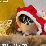 Myriam Wisozk Profile Picture